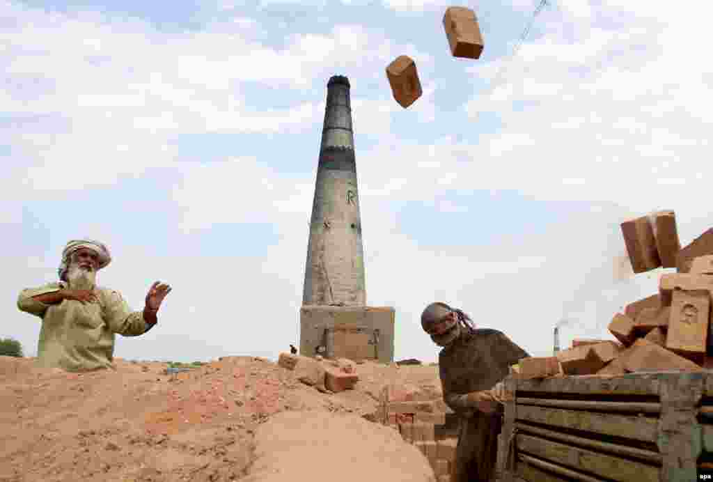 Afghan workers at a brick kiln pile up new bricks in the Shahrood district of Nangarhar on June 19. (epa/Ghulamullah Habibi)