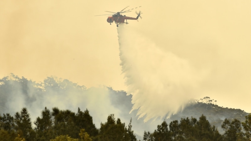 Пожарите го уништуваат Националниот парк на островот Кенгуру во Австралија