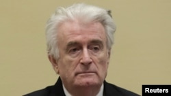Former Bosnian Serb leader Radovan Karadzic (file photo)