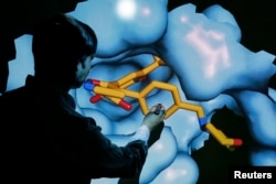 3D модель третичной структуры белка HSP90