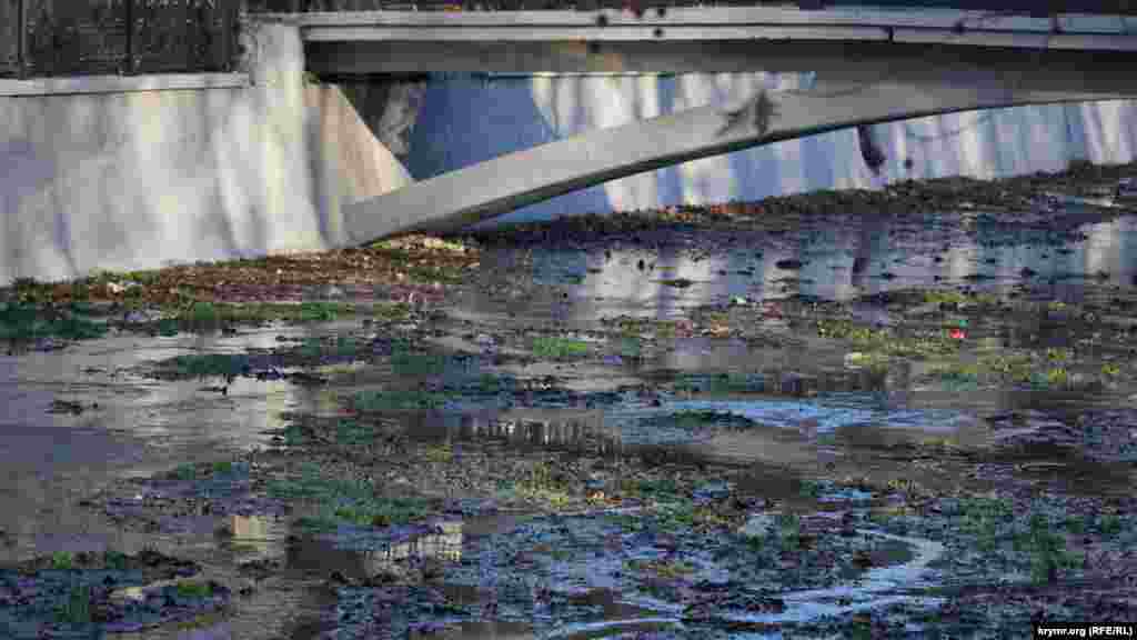 Русло Салгира у моста на Киевской после летней очистки вновь успело заилиться