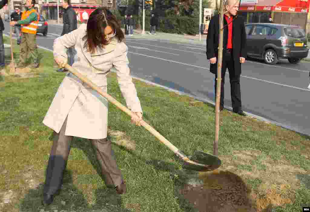 Министерката Гордана Јанкулоска сади дрво во Скопје на 20 ноември 2011 година.