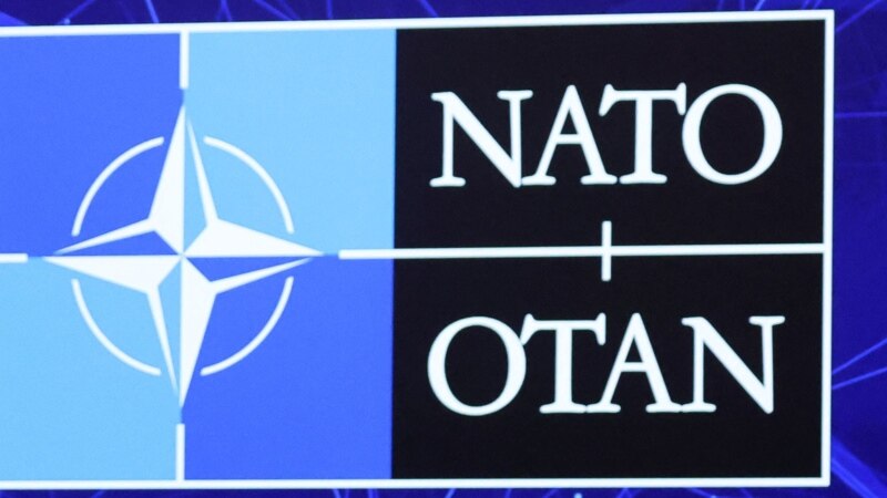NATO-nyň Merkezi Ýewropa agzalary Russiýanyň Ukraina garşy hüjümini ýazgardylar