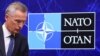 НАТО часткового розгорне сили реагування у східних країнах-членах. Києву обіцяють засоби ППО