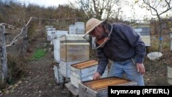 Пчелиное крым как добраться на машине. Смотреть фото Пчелиное крым как добраться на машине. Смотреть картинку Пчелиное крым как добраться на машине. Картинка про Пчелиное крым как добраться на машине. Фото Пчелиное крым как добраться на машине