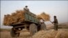 «واردات گندم با قیمت بالا»، به جای خرید از گندم‌کاران داخلی