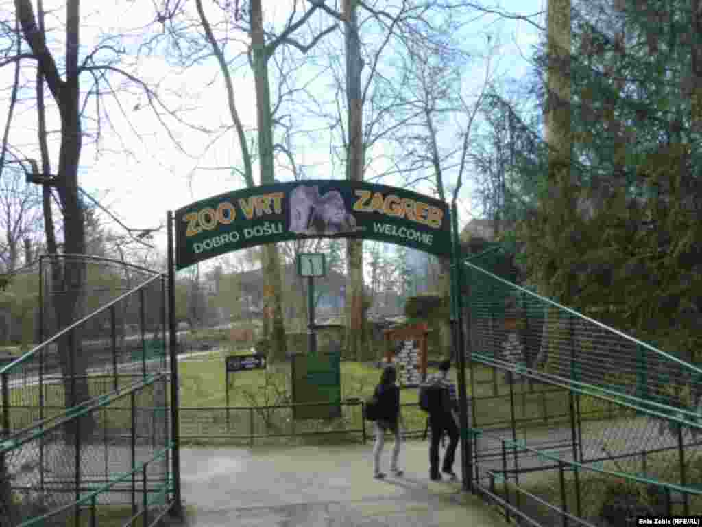 Загребский зоопарк принял коллекцию змей, поскольку другие зоопарки в регионе либо вообще не имели возможности принять такую коллекцию после смерти владельца, либо могли принять только часть ее.