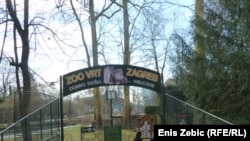 Zagreb Zoo Houses Serbian Snake Collection 