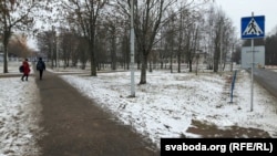 Парк у Асіповічах, у якім «Віталют» хацеў пабудаваць сваю краму