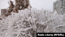 Freezing temperatures are typical for winter in Moscow, but an unusually heavy downpour of freezing rain has caused travel chaos.