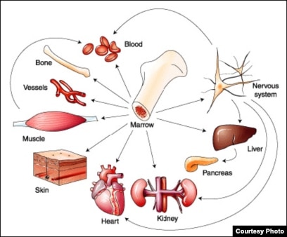 Ол бұл қорқынышты порно екенін айтады. 3 ммф үшін жыныстық позициялар