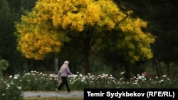 Осень в Бишкеке.