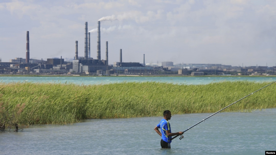 Жыныстық портал профильдері sp Жас киска кәрі сиқыр