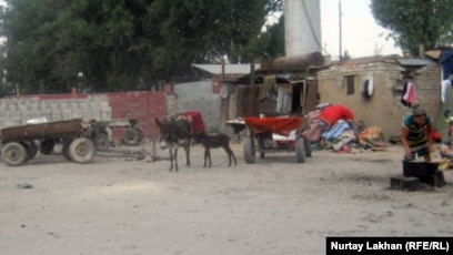 Трусикидегі Виканың фотосы