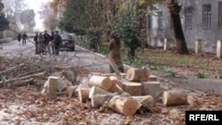 Акс аз бойгонӣ.