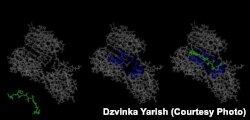 Завдання, яке ілюструє ця картинка – дізнатись як зчепляться дві органічні молекули (протеїн та пептид)