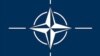 НАТО зьдзіўленая заявай прэсавага сакратара Пуціна