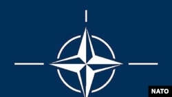 Belgium -- NATO, logo, undated