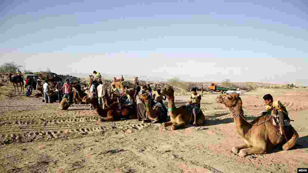 مسابقات شتر سواری در بندرعباس مرکز استان هرمزگان
