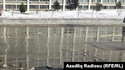 Arxiv fotosu