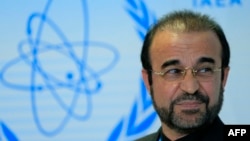 رضا نجفی، نماینده ایران در آژانس می‌گوید که با اجرایی شدن توافق ژنو، حجم فعالیت‌های تهران و آژانس افزایش یافته است.
