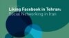 فیس‌بوک در ایران: ابزار فعالیت سیاسی یا معاشرت مجازی؟