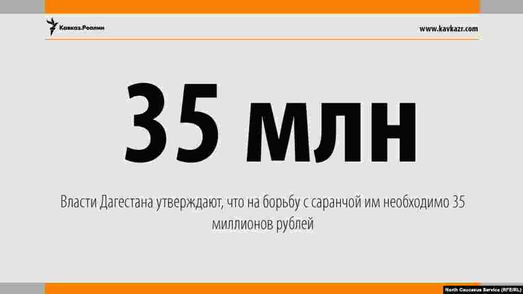 22.06.2017 // Дагестану для борьбы с саранчой требуется более 35 млн рублей, но из бюджета на эти цели удалось выделить только 5 млн.