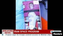 A TV grab of Iranian state footage shows a monkey that was said to have been launched into space in January 2013.