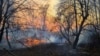 Збитки від пожеж у зоні відчуження можуть сягати десятки мільйонів гривень – ДАЗВ