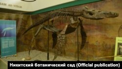 Плиозавр в Никитском ботсаду