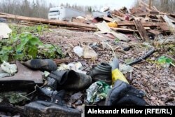 Обочина дороги в Новгородской области