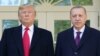 Дональд Трамп и Реджеп Эрдоган перед встречей в Белом доме, 13 ноября 2019 года