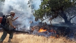 آتش‌سوزی در جنگل‌ها و میراث طبیعی ایران؛ یک سریال ادامه‌دار