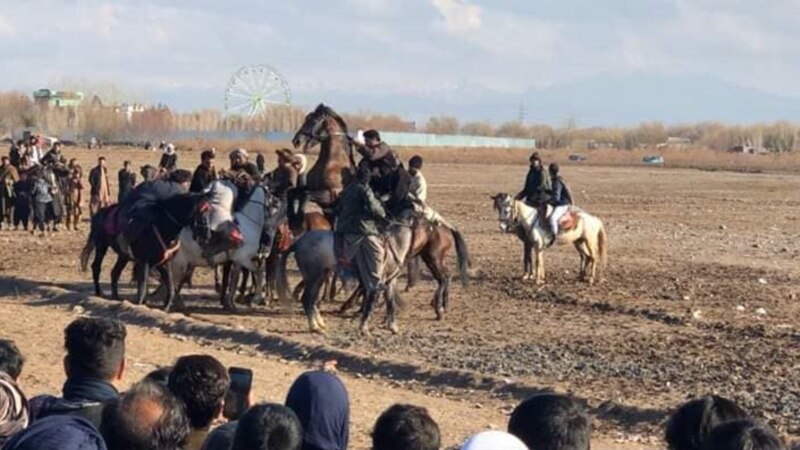 مسابقات بزکشی امروز در بلخ آغاز شد