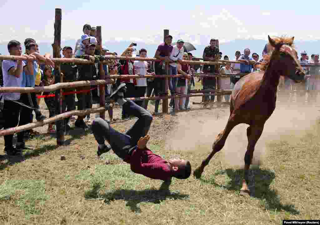 A participant falls in an attempt to harness a horse during an international festival of nomadic culture in Almaty, Kazakhstan. (Reuters/Pavel Mikheyev)