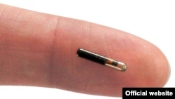 Uposlenici će moći birati između čipa koji se umeće između palca i kažiprsta te čipiranog prstena
