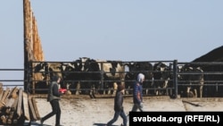 Беларустагы ферма. Иллюстрация