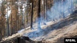 Georgia -- Russian planes dropped explosives in the protected areas which caused fire in the popular resort Borjomi, 19Aug2008