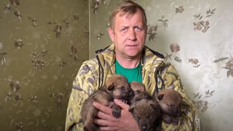 Из заповедника «Аскания-Нова» в Крым вывезут новую партию животных – Зубков 