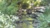 Rijeka u parku prirode "Komovi" kod Kolašina