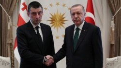 Անկարայում հանդիպել են Թուրքիայի նախագահը և Վրաստանի վարչապետը