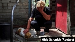 Жінка плаче біля своєї тяжко пораненої російським обстрілом собаки у Костянтинівці Донецької області, 9 липня 2022 року