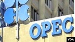 OPEC-in ofisi.
