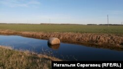 Любанскі р-н. Менская вобласьць. Натальля Сарагавец