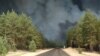 Лісова пожежа (пожежі, ліс), Луганська область, Смолянинове (Смолянінове, Смоляніново), фото ілюстративне