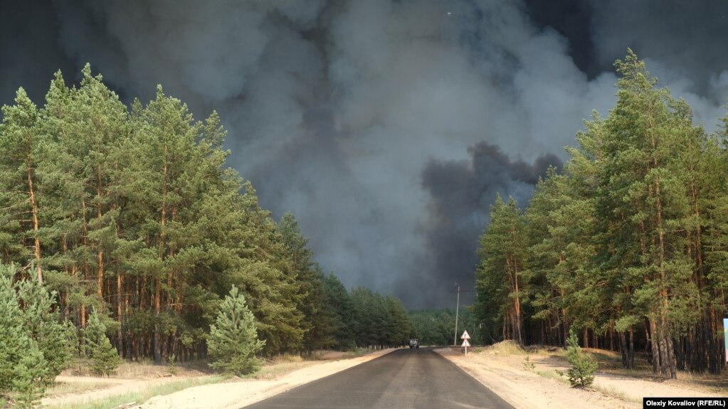 Лісова пожежа (пожежі, ліс), Луганська область, Смолянинове (Смолянінове, Смоляніново), фото ілюстративне