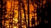 Бурятия: первый лесной пожар из-за попытки скрыть преступление