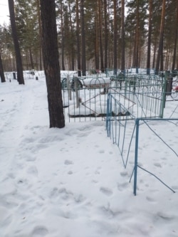 Новое кладбище поселка Шумский