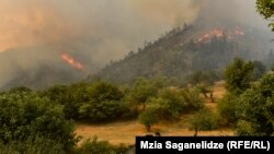 Сильный ветер раздул огонь с новой силой, и ближе к полуночи территория, охваченная пожаром, расширилась в несколько раз