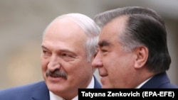 Александр Лукашенко и Эмомали Рахмон. Архивное фото